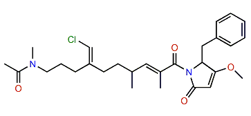 Smenamide A